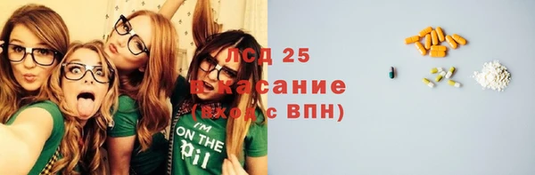 apvp Санкт-Петербург