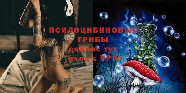 МДПВ Ессентукская