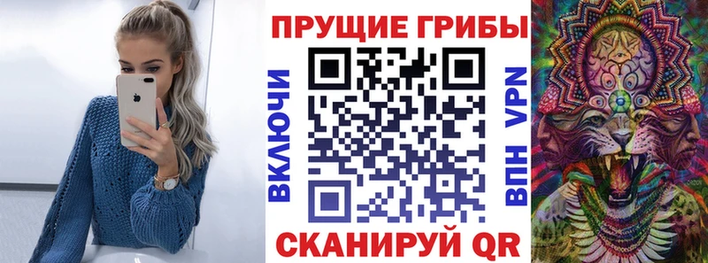 Псилоцибиновые грибы мицелий Ессентукская