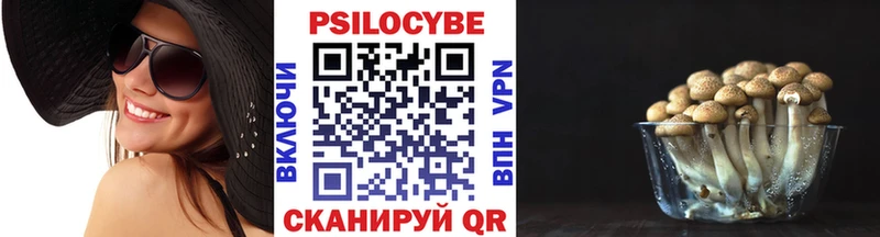 Псилоцибиновые грибы мухоморы  МЕГА ONION  Ессентукская 