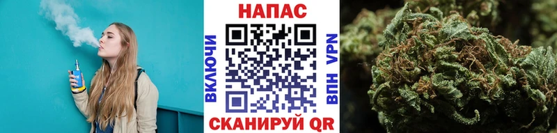 Бошки марихуана SATIVA & INDICA  где можно купить   Ессентукская 